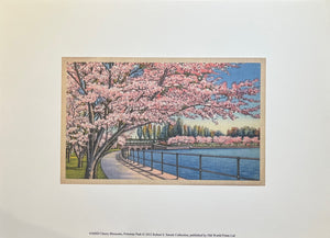 Cherry Blossoms, Potomac Park